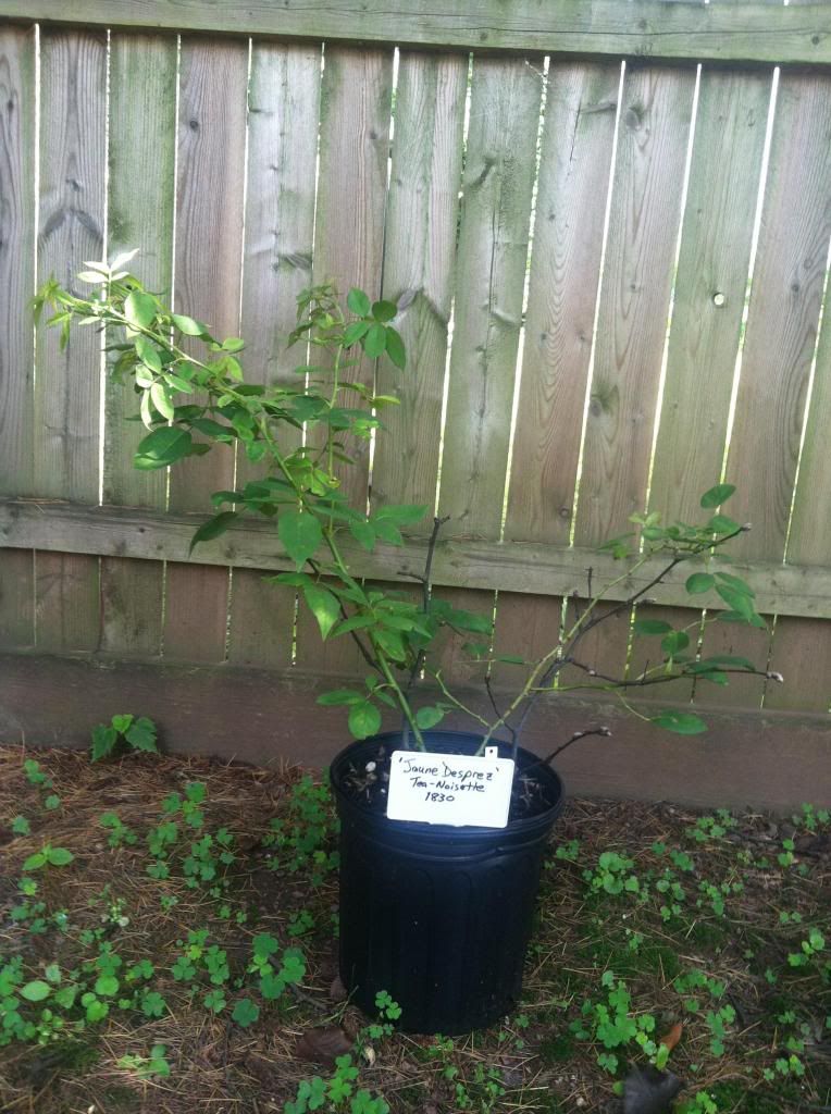  photo IMG_0325_zps26e182b1.jpg